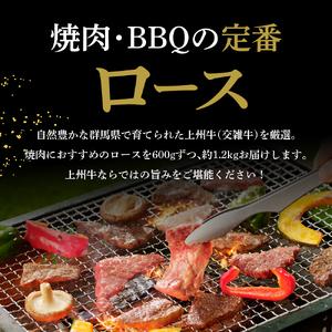 ふるさと納税 牛肉 ロース  1.2kg（600g×2パック）  群馬 県 千代田町 群馬県千代田町