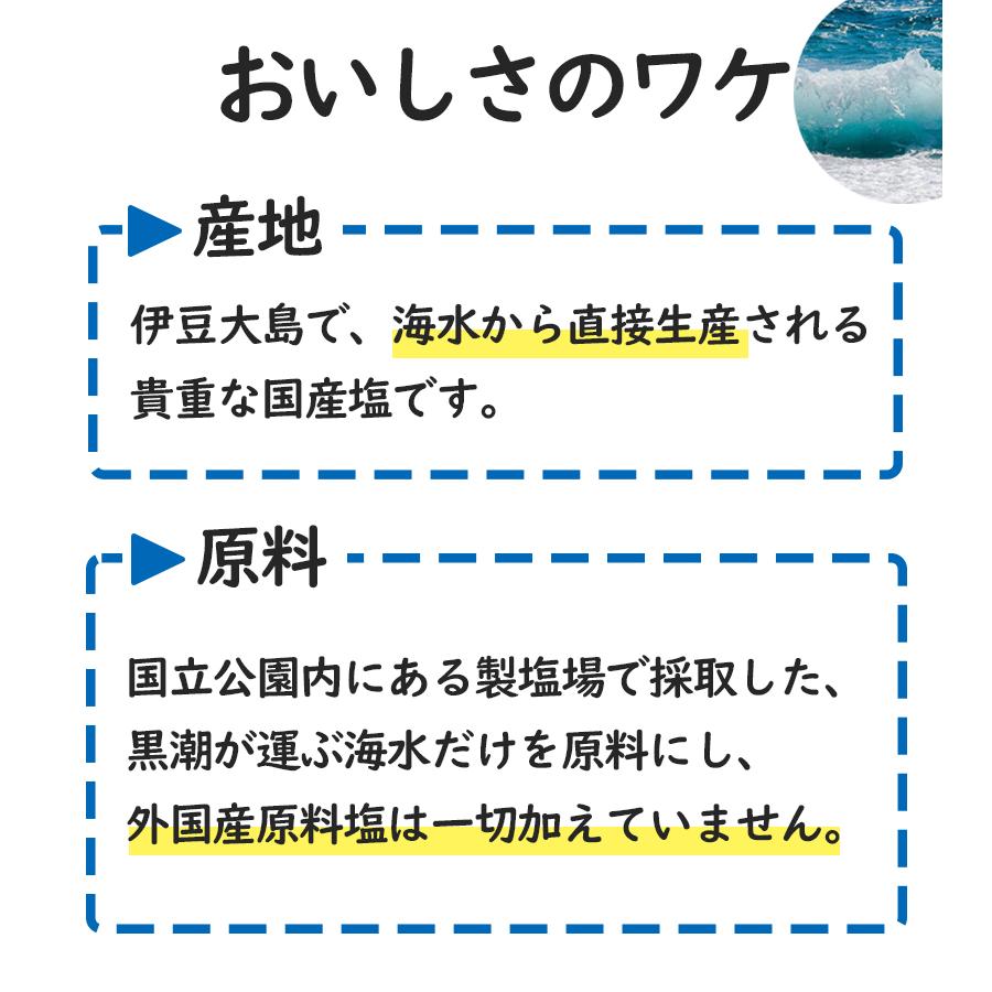 塩 国産 海の精 あらしお 3kg 2個セット 赤ラベル 調味料 海塩 ソルト 天日 荒塩 あらじお あら塩 手作り 天日塩 海塩