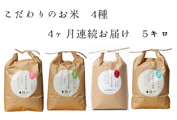 北本農場 「こだわりのお米」 令和5年度産　精米 5kg