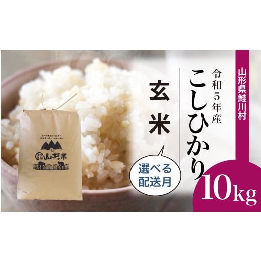 ふるさと納税 山形県 鮭川村 令和5年産　鮭川村　コシヒカリ10kg（10kg×1袋）