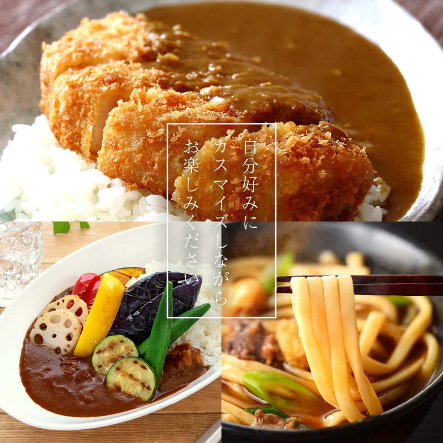 カレー専門店の ビーフカレー 200g 甘口 レトルトカレー カツ ハンバーグ エビフライ 野菜 うどんなど お好みの具やトッピングにあわせやすい カレー