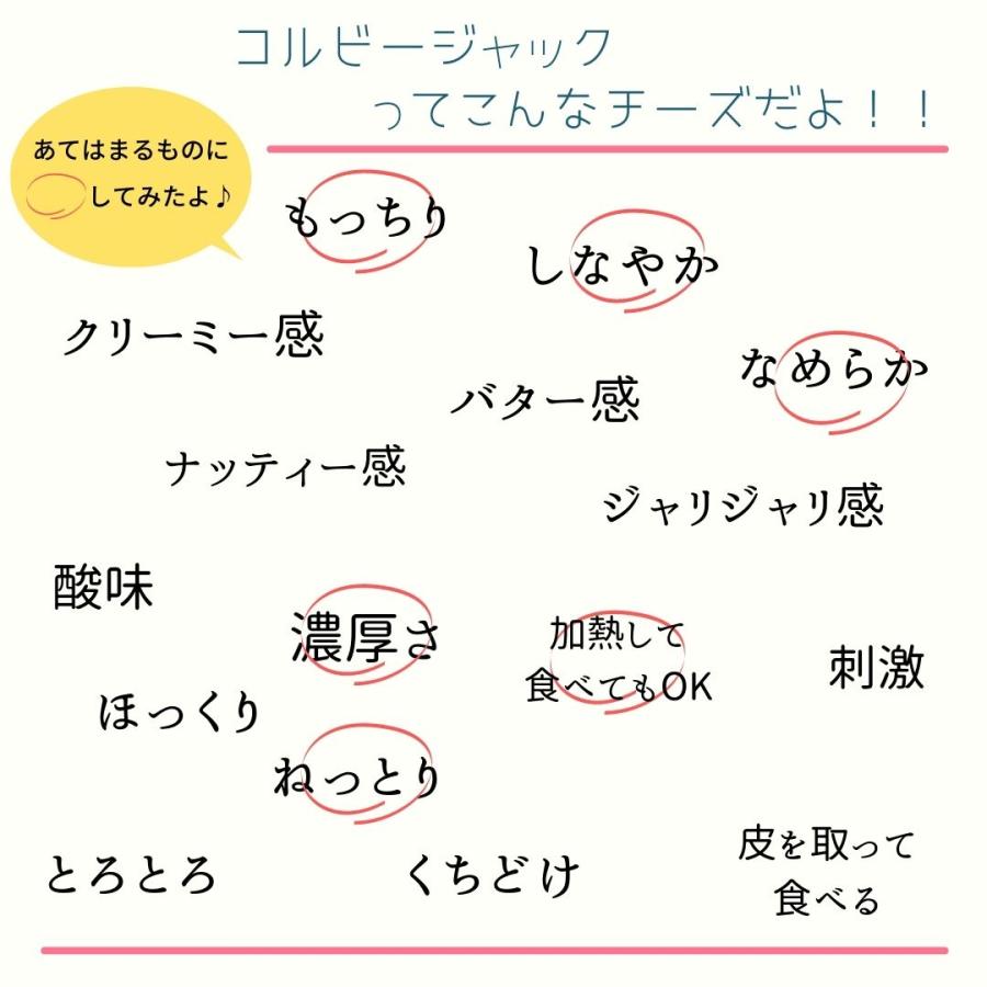 コルビージャック 300ｇ ナチュラルチーズ とろけるチーズ カリフォルニア産 マイルド セミハード チーズ お料理に