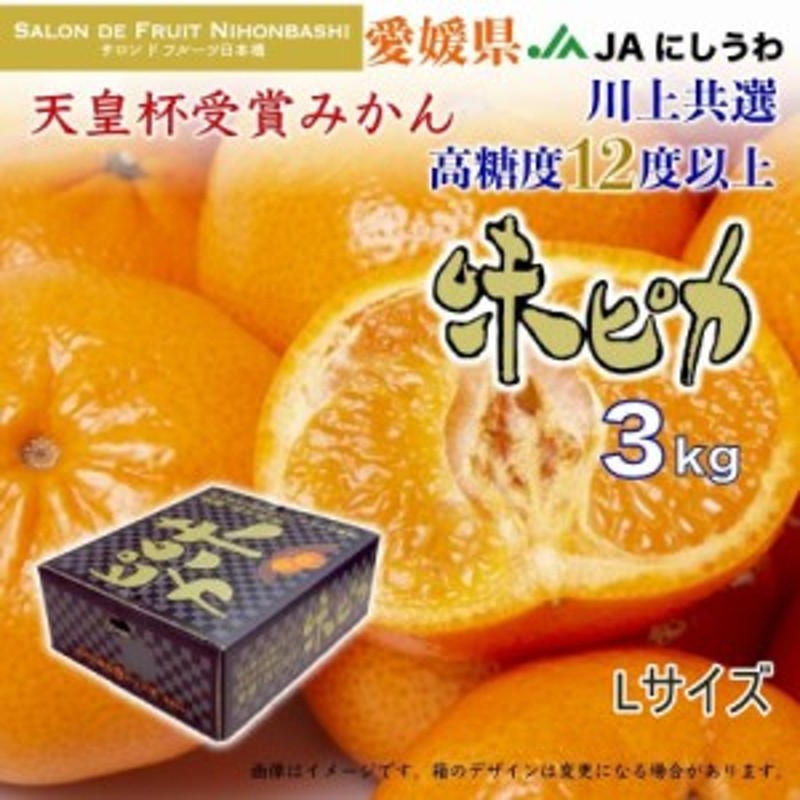 約3kg　味ピカ　予約　川上共選　L　西宇和　2023年12月1日-12月25日の納品]　お歳暮　みかん　冬ギフト　愛媛県　化粧箱　御歳暮　LINEショッピング