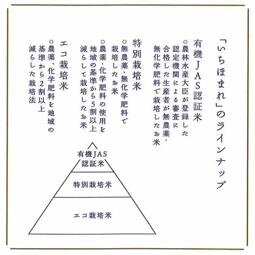 令和4年産 お米 米 ２kg 福井県産 いちほまれ 福井県米 新米