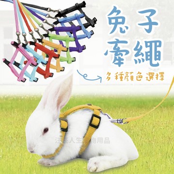 兔子牽繩 兔牽繩 兔子 牽引繩 胸背牽繩