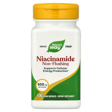 Nature's Way, 煙醯胺，非潮紅，500 毫克，100 粒膠囊