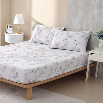 鴻宇 100%精梳棉 美國棉 奧娜 雙人特大床包枕套三件組