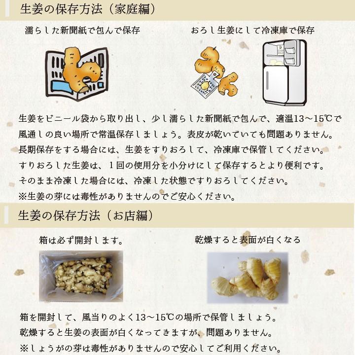 食用 生姜 5kgバラ Mサイズ (中国産)