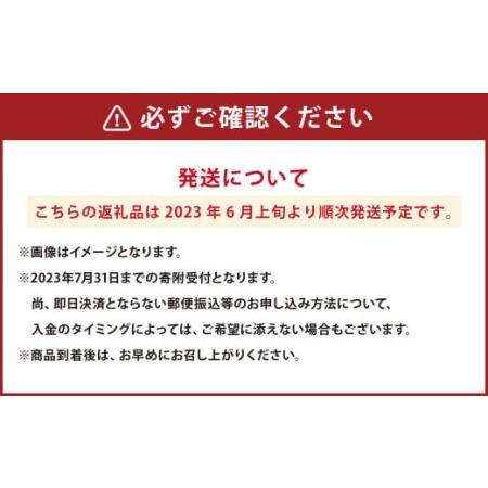 ふるさと納税 熊本県産 黒小玉スイカ1玉とマスクメロン1玉 熊本県