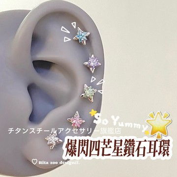🌟滿299免運爆閃四芒星鑽石耳環 星星耳環316L醫療鋼耳環 鈦鋼耳環 耳骨釘 耳環女 耳骨針 耳針 耳圈 養耳棒耳飾
