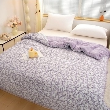 NATURALLY JOJO 韓風水洗紗石墨烯雙色被  布查特紫  210 x 180cm