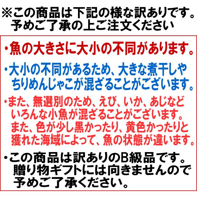 セール ちりめんじゃこ 140g 大きい 無添加 無選別 訳あり 広島県産 魚介 魚 メール便限定 送料無料