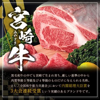 ふるさと納税 新富町 ≪肉質等級A4ランク≫宮崎牛 肩ロース焼肉 400g(新富町)