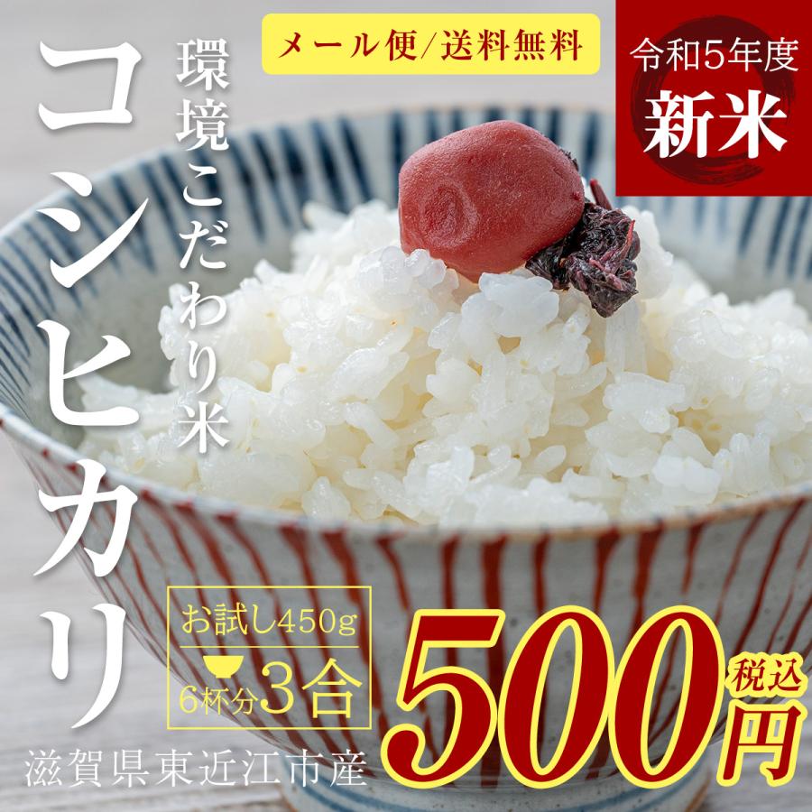 新米 コシヒカリ 3合 450g 令和5年 送料無料 ポイント消化 お試し お茶碗 6杯分 お米 白米 食品 1等級米 米 真空パック 農家直送 滋賀県 お米 ポイント 産地直送