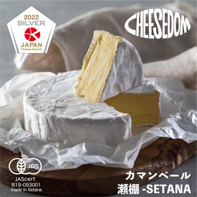 ふるさと納税 せたな町 CHEESEDOM(チーズダム)のチーズ5種セット