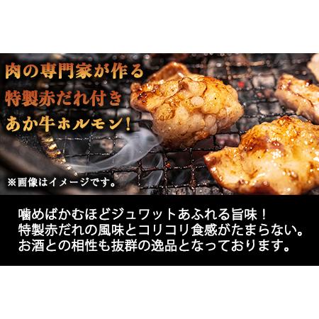 ふるさと納税 熊本県産 あか牛 焼肉 ホルモン 900g 肉のみやべ《90日以内に順次出荷(土日祝除く)》熊本県産 熊本県 御船町 熊本県御船町