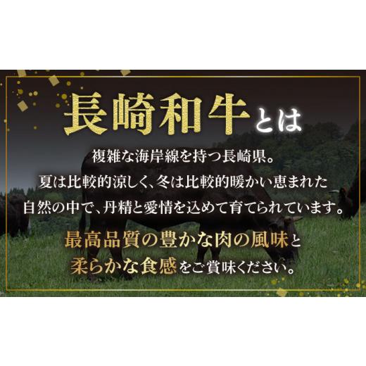 ふるさと納税 長崎県 東彼杵町 長崎和牛 すき焼き食べ比べ セット 赤身[モモ]・霜降り肉[ロース]   各500g) 計1kg   牛肉 和牛 すきやき 霜降り ロース もも肉…