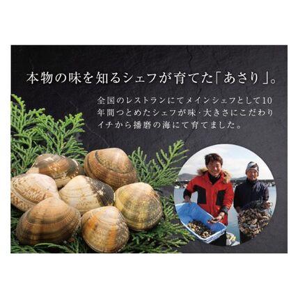 ふるさと納税 令和6年2月出荷 先行予約 シェフが育てた白浜の活あさり2kg  兵庫県姫路市