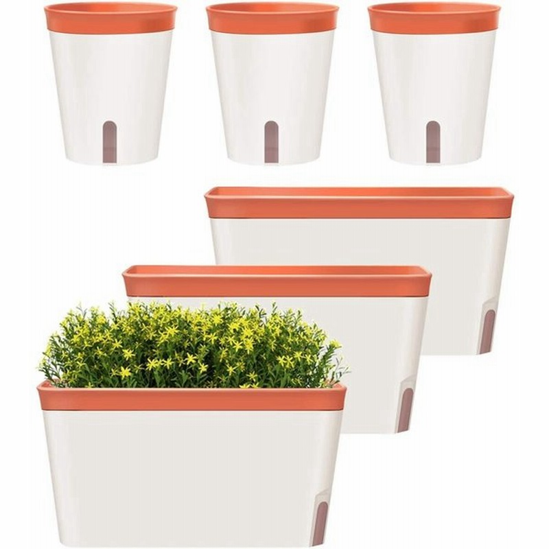 Gardenbasix 自動給水プランター 長方形ウィンドウボックス 6個セット 屋内植物 ホームガーデン モダン装飾フラワーポット すべての家 ハー 通販 Lineポイント最大0 5 Get Lineショッピング