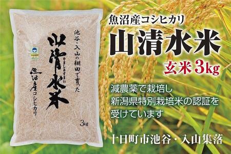 新潟県魚沼産コシヒカリ「山清水米」玄米３kg