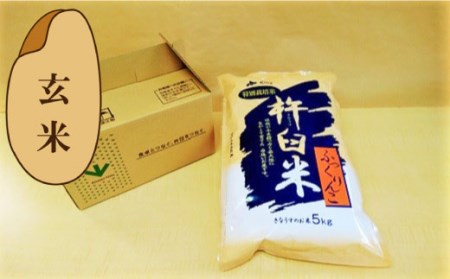 特別栽培「きなうす米」ふっくりんこ5kg×6回