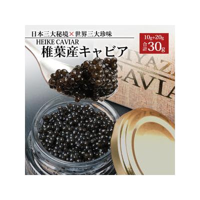 ふるさと納税 椎葉村 HEIKE CAVIAR 30g フレッシュキャビア