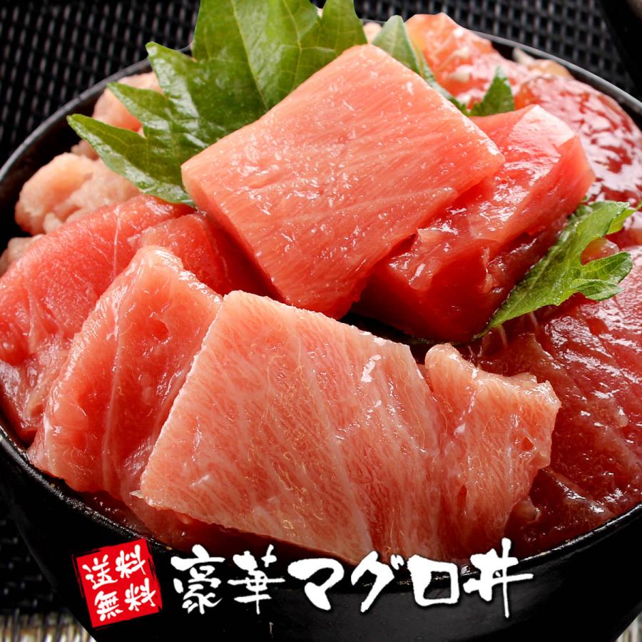 お歳暮 2023 年末年始 海鮮 ギフト 豪華マグロ丼 大トロ 赤身 ネギトロ マグロ漬け 鉢鮪切落し 海鮮丼 御祝 誕生日 プレゼント ごちそう 内祝 食べ物 魚介