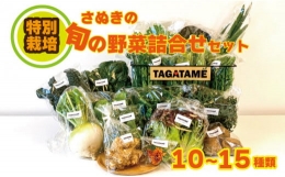 野菜 特別栽培 大容量 セット 詰め合わせ 栽培期間中農薬不使用 10~15種類 TAGATAME タガタメ 旬の採れたて お野菜 詰め合わせ セット