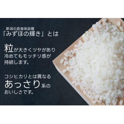 ふるさと納税 阿賀野市 パックご飯 新潟県阿賀野市産みずほの輝き 150g×24食×6回