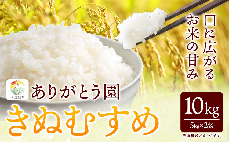 新米 令和5年産 米 岡山県産 きぬむすめ 白米 選べる 10kg ありがとう