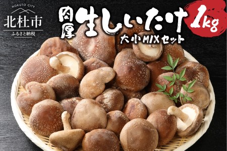 生しいたけ 大小Mixセット(1kg)