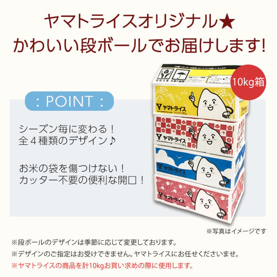 無洗米 米 お米 10kg まっしぐら 青森県産 5kg×2 令和5年産