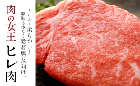  熊本県産 ステーキ用 あか牛 (ヒレ肉 600g ・ ロース肉 800g) 定期便 セット 牛肉 国産 赤牛 食べ比べ