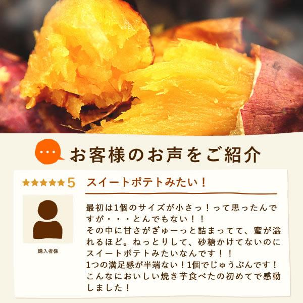 焼き芋 冷凍 人気 紅はるか 安納芋 シルクスイート やきいも 冷凍焼き芋 500gセット スイーツ さつまいも 送料無料 あすつく