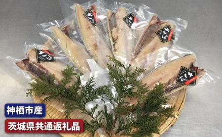 大トロさば文化干し　6枚（茨城県共通返礼品・神栖市産）