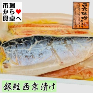 銀鮭 西京漬け 10kg（8枚前後）身が厚い銀鮭使用、熟成みそ仕立て