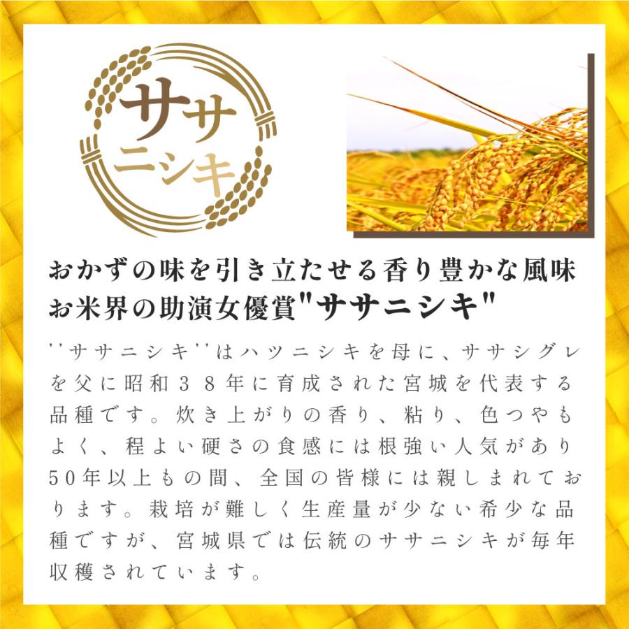 令和5年度 新米 お米 10kg 白米 ササニシキ 米 5kg 2袋セット 宮城 国産 日本産 10キロ