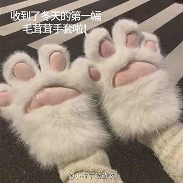 【隔曰到貨】可愛貓爪手套 絨毛 貓掌 貓爪 手套 軟萌 熊掌 肉球 貓咪 粉嫩 軟萌 可愛 二次元 cosplay