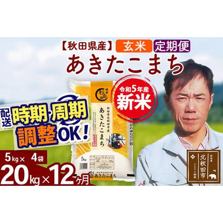 ふるさと納税 《定期便12ヶ月》＜新米＞秋田県産 あきたこまち 20kg(5kg小分け袋) 令和5年産 お届け時期選べる 隔月お届けOK お米 み.. 秋田県北秋田市