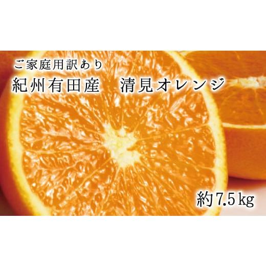 ふるさと納税 和歌山県 北山村 紀州有田産清見オレンジ　7.5kg  ※2024年3月下旬頃〜2024年4月下旬頃に順次発送予定(お届け日指定不可)