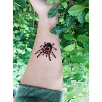 黃色蜘蛛 3D 立體 紋身貼紙 SPIDER 超立體 搞笑 送禮 IG 持久 真實 紋身貼  萬聖節 惡搞 長腳蜘蛛