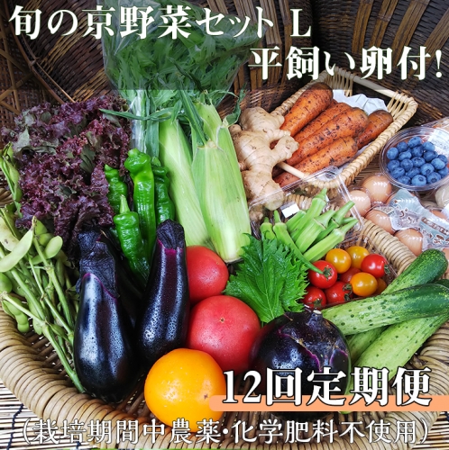 ＜アスカ有機農園＞旬の京野菜セットL（平飼い卵付）＊毎月お届け全１２回