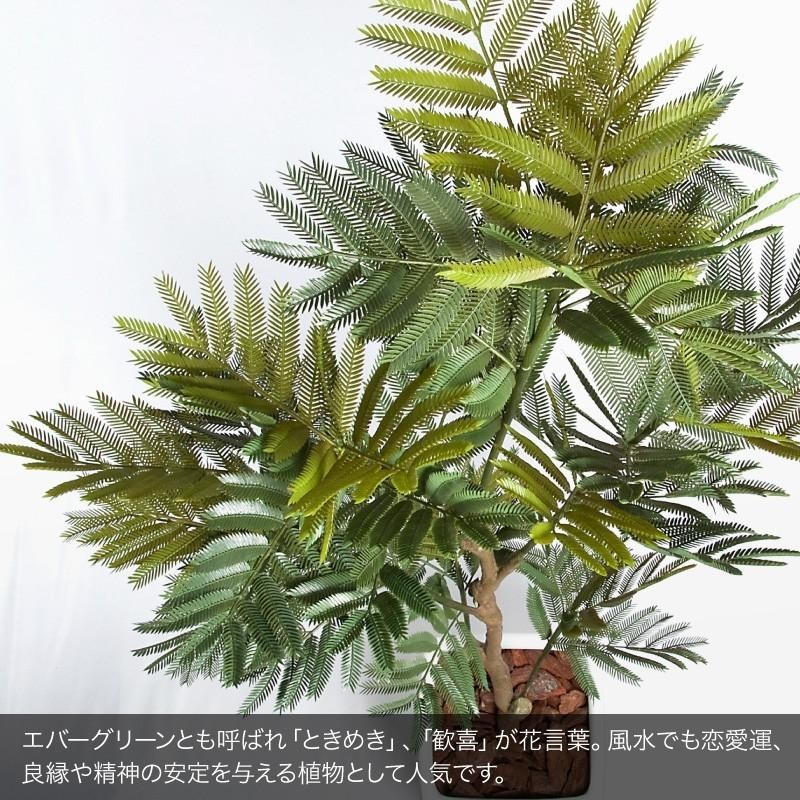 人工観葉植物 大型 エバーフレッシュ 175cm 鉢植 ネムノキ フェイク