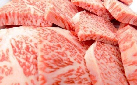 牛肉 焼肉用 800g 霜降り 特選 リブロース 土佐黒毛和牛 Ａ５～Ａ４ 等級 冷凍 高知県 須崎市