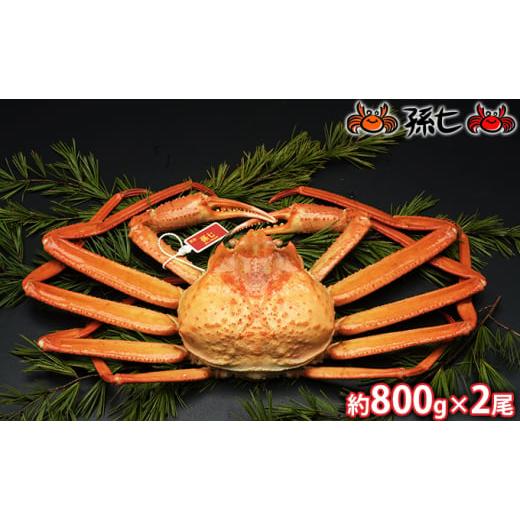 ふるさと納税 富山県 射水市 [No.5683-0449]紅ズワイガニ約800g×2尾（孫七タグ付）