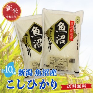 令和5年度産 新米 魚沼産 こしひかり 10kg 送料無料 新潟県 お米 10キロ