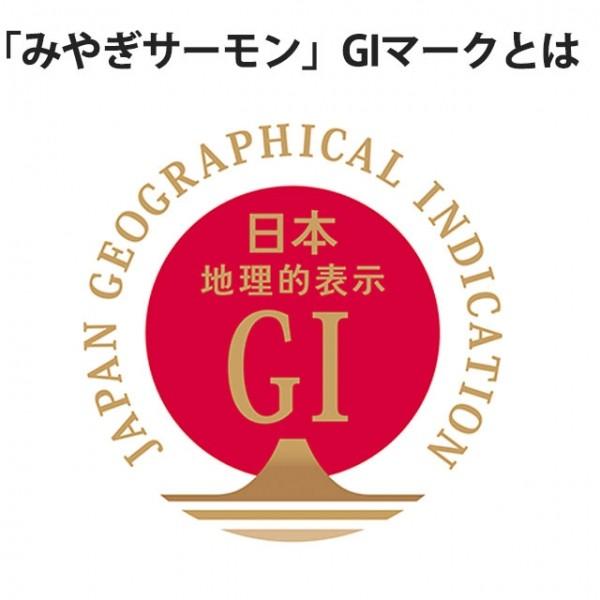 サーモン 刺身 みやぎサーモン 鮭 半身 約 1kg〜1.2kg 18人前 〜 22人前 国産 大 銀ざけ 銀鮭 アトランティックサーモン