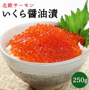 北欧サーモンいくら醤油漬 250g 送料無料 小粒 お取り寄せグルメ