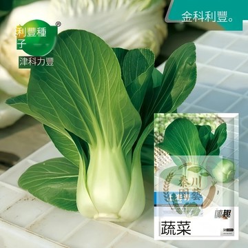 🔥台灣家常菜首選🔥「小青江」正宗原裝種子｜20天速成！陽台盆栽免農藥｜現採現煮超鮮甜｜新手必備 成功率超高#蔬菜種籽