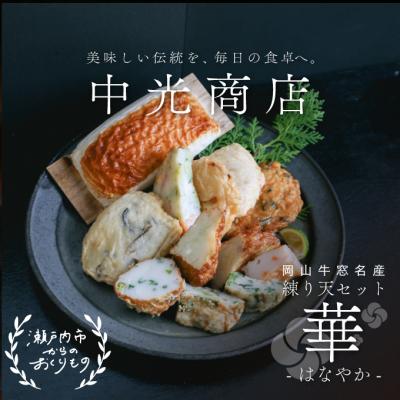 ふるさと納税 瀬戸内市 瀬戸内ふるさと創作練り天セット  華-はなやか-[No.5735-0296]